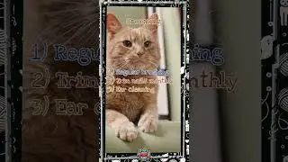 Grooming Secrets Pros Wish You Knew!