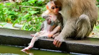 Reaction happy with Dirty water of Baby Jacee with Other !!