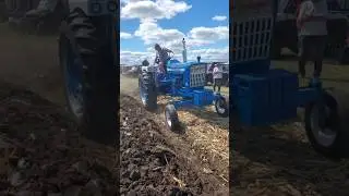 Ford 5000 Plowing at the Half Century of Progress Show '25 #Farmer #farmlife #farming #tractor
