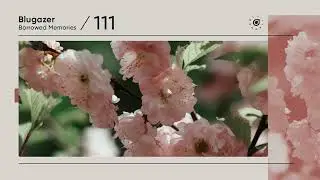 Blugazer - Borrowed Memories