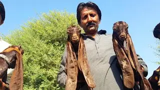 Hidden Truth | interview with khan