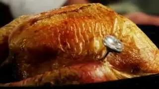 Mayo Clinic Turkey Tips - Taking Your Turkey from the Store to the Table