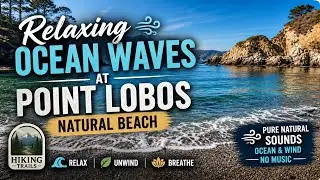 Relaxing Ocean Waves at The Pit, Point Lobos | Natural Beach Sounds for Sleep, Meditation & Calm
