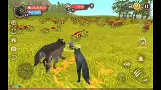 THE WOLF GAMES