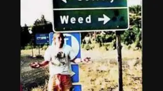 THE WEED ANTHEM