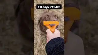 🎥 