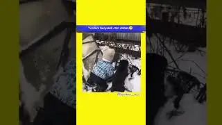 Kelishib oldi degan umiddaman #shorts #uzbekistan #mitti #instagram #tiktok #reels #shortsvideo