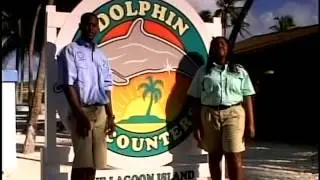 Diana's Dolphin Encounter - Blue Lagoon Island - Training
