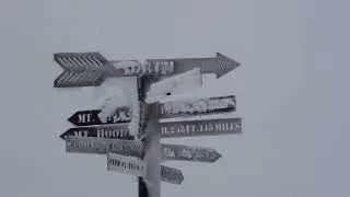 Weekly Video 3/23