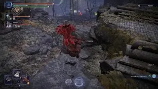 ELDEN RING NIGHTREIGN Deep of Night Rank 4 Greglord Raider