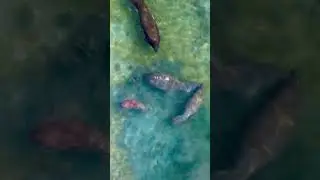 6 reasons to protect our waters!