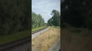 Donau&uuml;berquerung mit der Waldbahn 🏞️ (bitte Beschreibung lesen!)