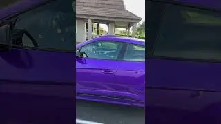 Purple Urus or F250? #florida #lamborghini #ford #truck #suv #exotic #shorts #fyp #viral #guytv
