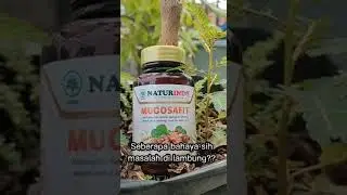 MUCOSAFIT NATURINDO SOLUSI ALAMI MASALAH PENCERNAAN