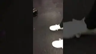 Butt chest pt.2  Hollywood fit and east coast heavy hitters
