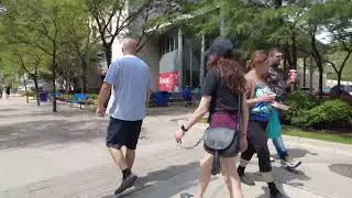 Toronto Walking Tour | New City Hall to Yorkville