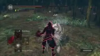 Dark souls pvp: Random invasions