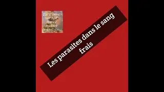 Microfilaire et plasmoduim. parasites dans le sang frais.