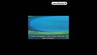 Nami quotes One piece by AnimeREactionD #animequotes #onepiece #onepiecequotes #nami #AnimeREactionD