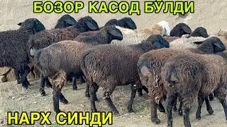 БОЗОР СИНДИКУ. ☎️+998996058118