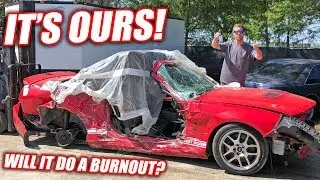 We Bought the Wrecked GT500!! Immediately Attempted a Burnout!