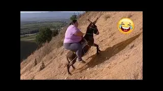Try Not To Laugh 🤣 Top 100 Funniest Videos Ever 🎬🔥 Memes, Epic Fails & Pranks Compilation Part 6