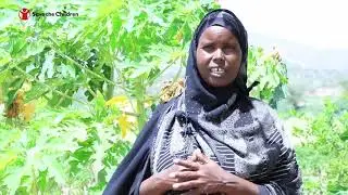 The Livelihood Diversification