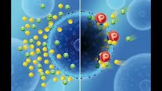 Biotronic TOP3 | The Breakthrough in pathogen control