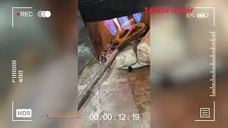 Asakadagi umumiy ovqatlanish korxonasi 1,9 mlrd so&lsquo;mga yaqin tabiiy gazdan noqonuniy foydalangan