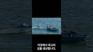 겨울바다 보러 서천 가요 |  Winter Sea Trip to Seocheon #kfood #서천김 #smartfactory