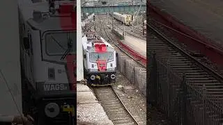 NEW BRC WAG9 H Operation SINDOOR Livery #wag9 #wag9h #wag9locomotive #exclusive #youtubeshorts