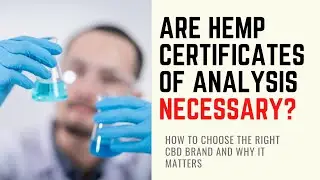 How To Choose The Right CBD Brand And Why It Matters | CBD oil