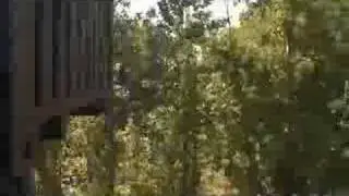 train by train