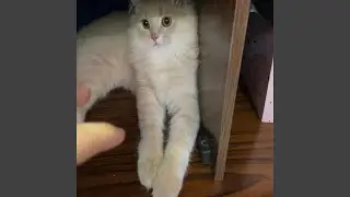 Look at me