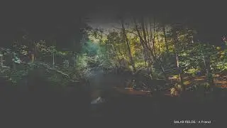Solar Fields - A Friend 4k