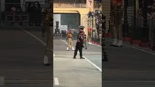 Powerful Country Pakistan || Big Stadium Parade #shorts