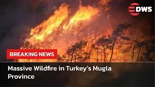 🔥 Breaking: Raging Wildfire Engulfs Turkey&rsquo;s Mugla | Helicopters & Planes Fight Flames | AL15
