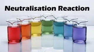 Neutralisation Reaction