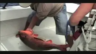 Panama Big Game Fishing Club Snapper Fishing