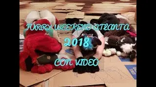 FWA 2018 Con Video | Random Moments