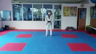 Taeguk 4, se repite hacia adelante &uacute;ltimo pasillo para observar los movimientos.
