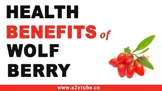 Amazing Health Benefits of Wolf Berry