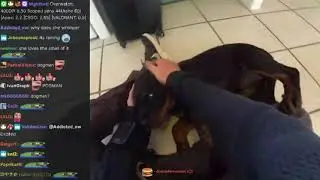 DAFRAN's WHOLESOME MOMENTS WITH PUPPY (with chat)