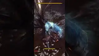 Ultimate Isshin Perfection #sekiro #isshin #nodamage #ultimateisshin