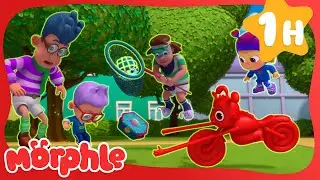 Magic Pet Book Mystery! | Mila and Morphle Cartoons | Morphle vs Orphle - Kids TV Videos