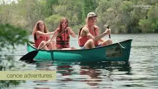 Everglades Eco Safaris