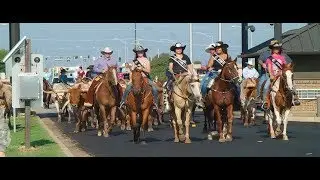 Great Plains Stampede Rodeo  Bull rider Action