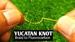 YUCATAN KNOT: 100% Strong Braid to Leader Connection for Bass Fishing!