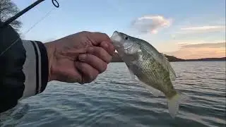 Thinking Man's Fisher Man! A Little Music Video! #fishing