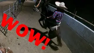 Mexican Rodeo Practice / Practica de Charreria!!!